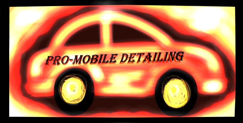 Pro-Mobile Detailing